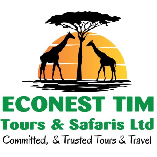 Econest Tim Safaris & Tours