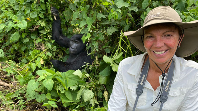 Gorilla tracking in Bwindi Impenetrable National Park